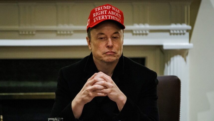 Elon Musk, head of the government's efficiency department (DOGE) and CEO of Tesla