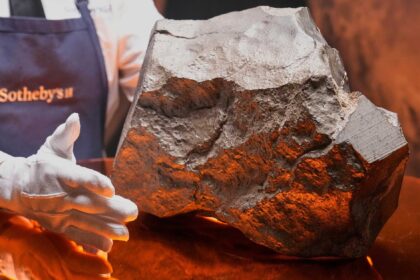 The largest Martian meteorite ever found on Earth weighs 54 pounds and will be auctioned in New York.